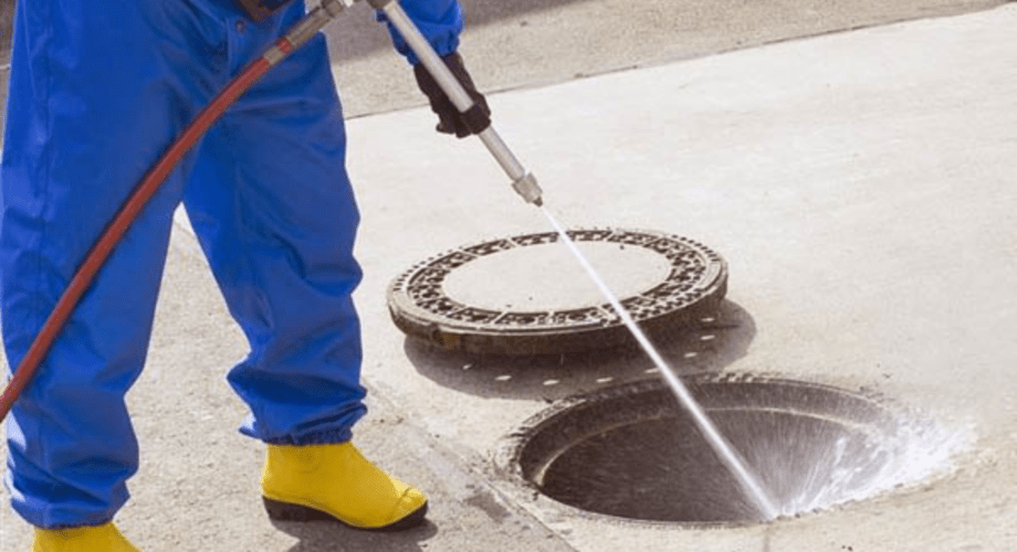 Imagem de Descupinização